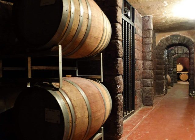 Copia-de-DSC00980-Turismo-El-Cerno-Bodega