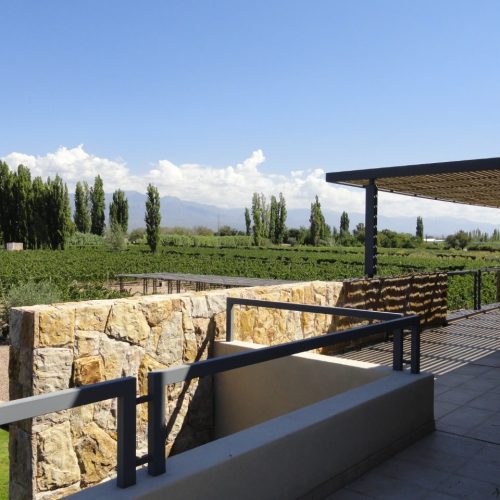 Terraza-en-Bodega-Cruzat